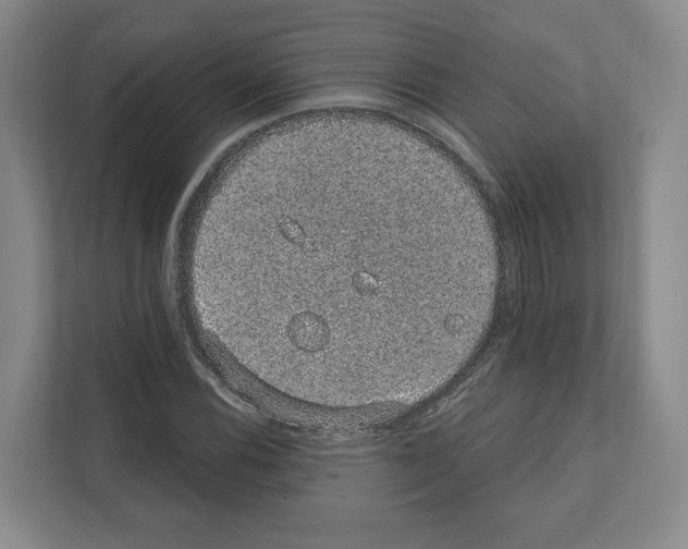 X0000111831116200909031508