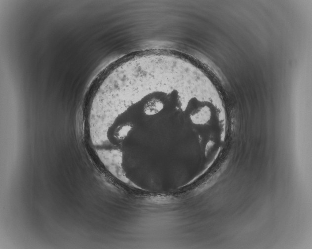 X0000111831117200909031508
