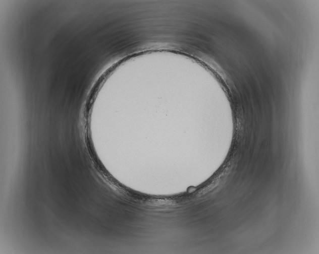 X0000111831119200909031508