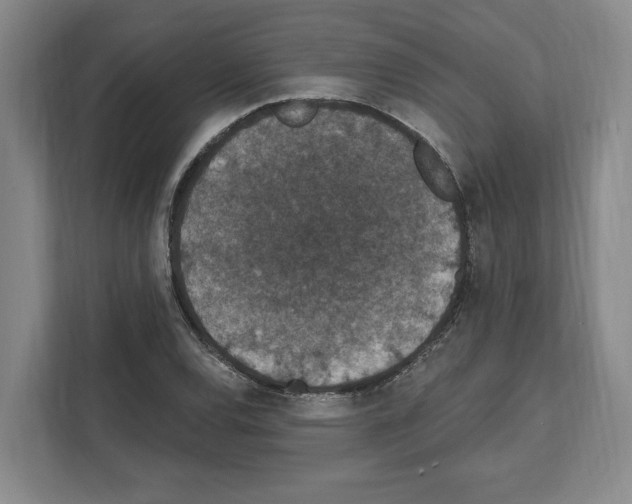 X0000111831120200909031508