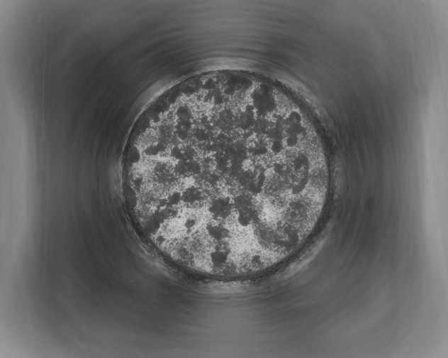 X0000111831121200909031508