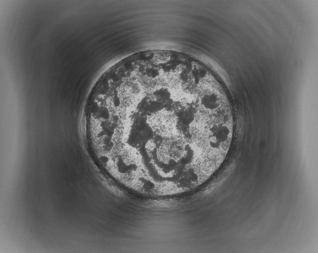 X0000111831125200909031508
