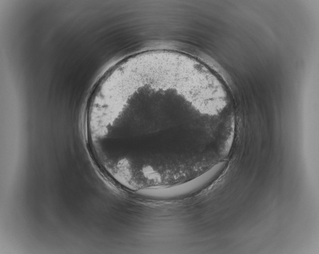 X0000111831127200909031508