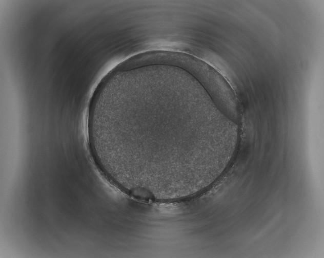 X0000111831128200909031508