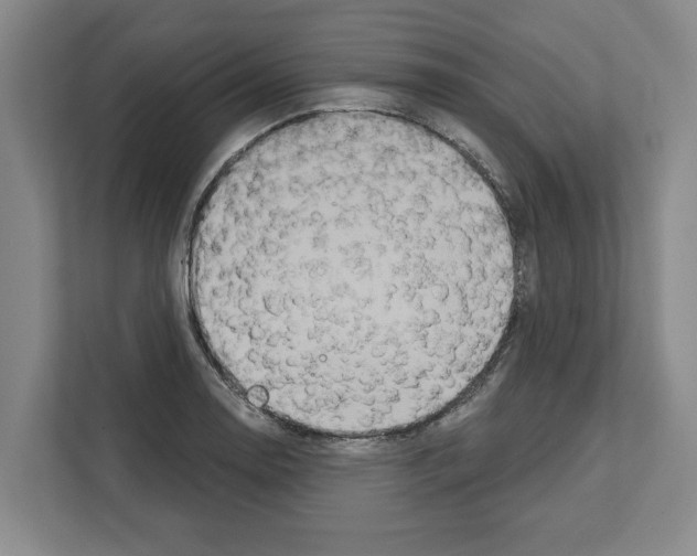 X0000111831130200909031508