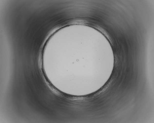 X0000111831131200909031508