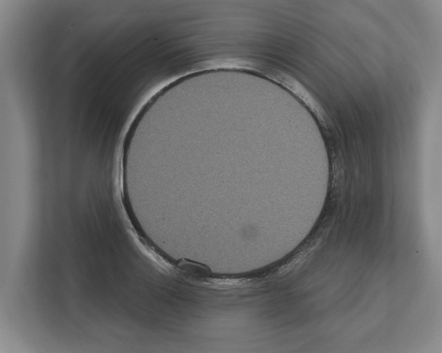 X0000111831132200909031508