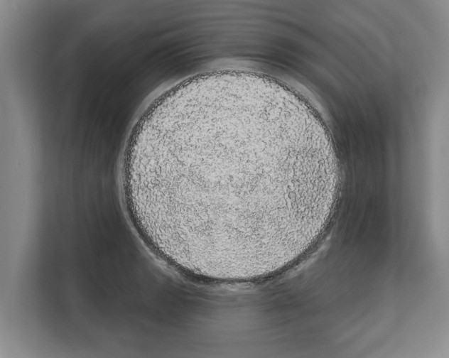 X0000111831133200909031508