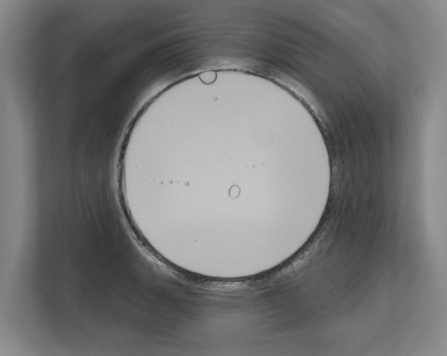 X0000111831135200909031508