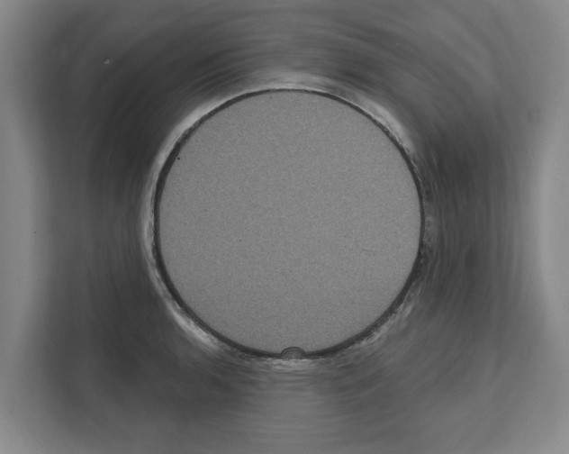 X0000111831136200909031508