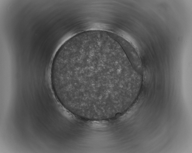 X0000111831138200909031508