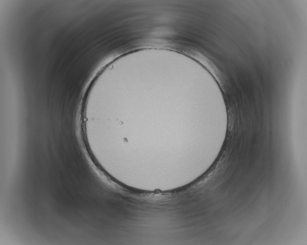 X0000111831139200909031508