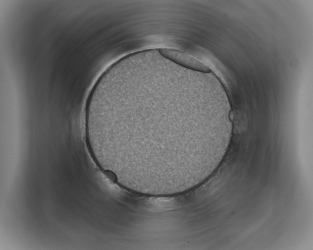 X0000111831140200909031508