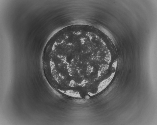 X0000111831141200909031508