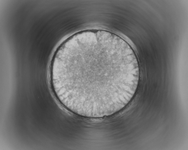 X0000111831144200909031508