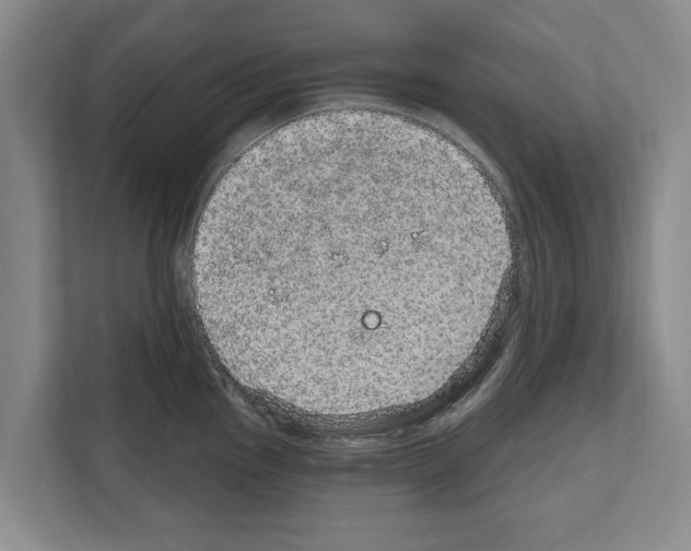 X0000111831145200909031508