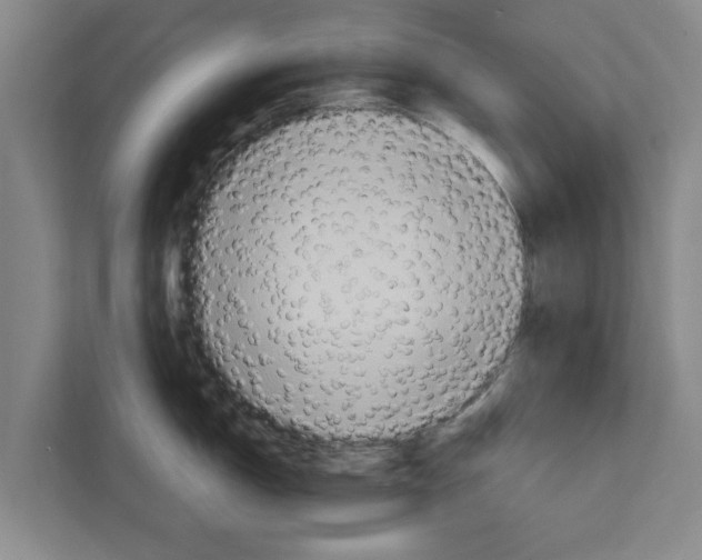 X0000111831150200909031508