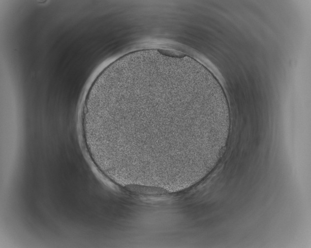 X0000111831152200909031508