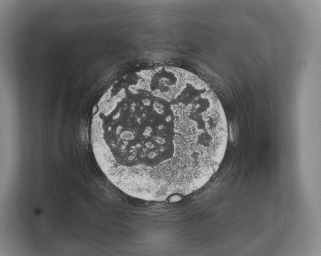 X0000111831155200909031508