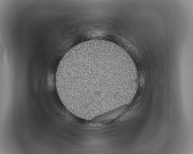 X0000111831156200909031508