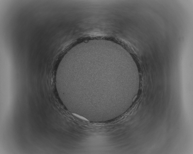 X0000111831157200909031508