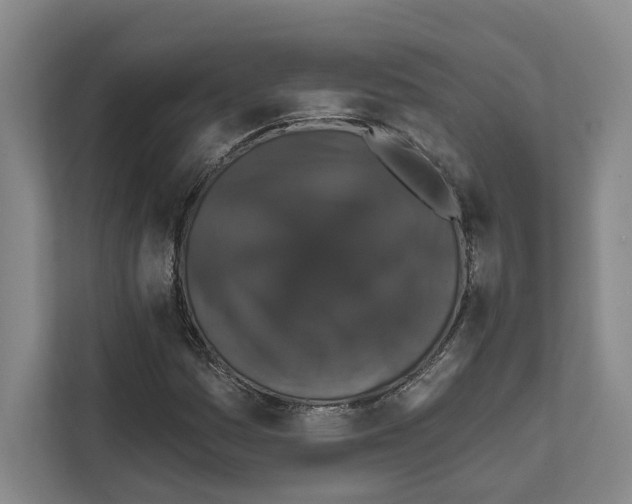 X0000111831161200909031507