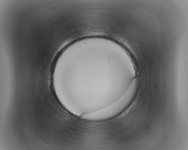 X0000111831165200909031507