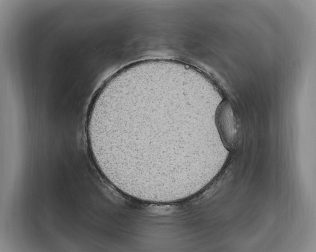 X0000111831168200909031507