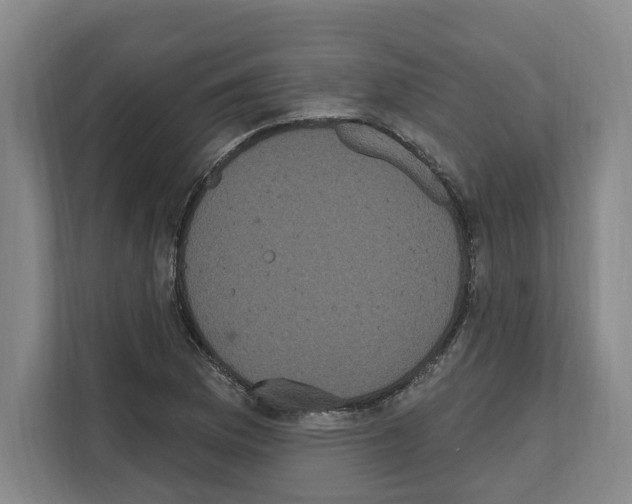 X0000111831169200909031507