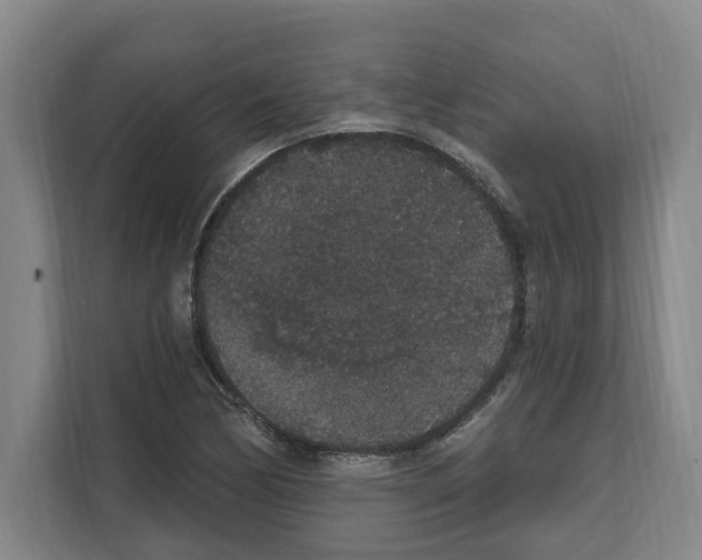 X0000111831170200909031507