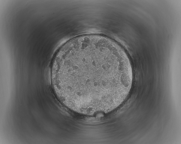 X0000111831171200909031507