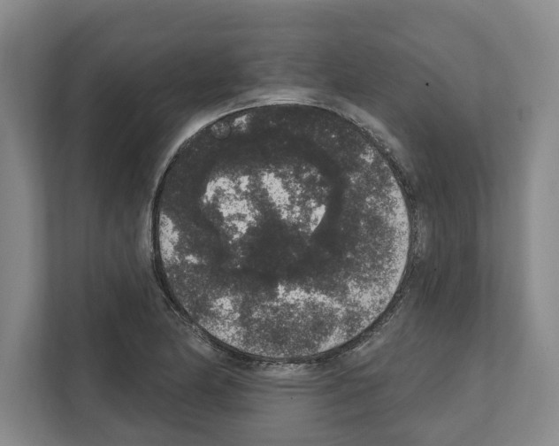 X0000111831174200909031507