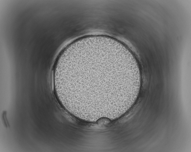 X0000111831175200909031507