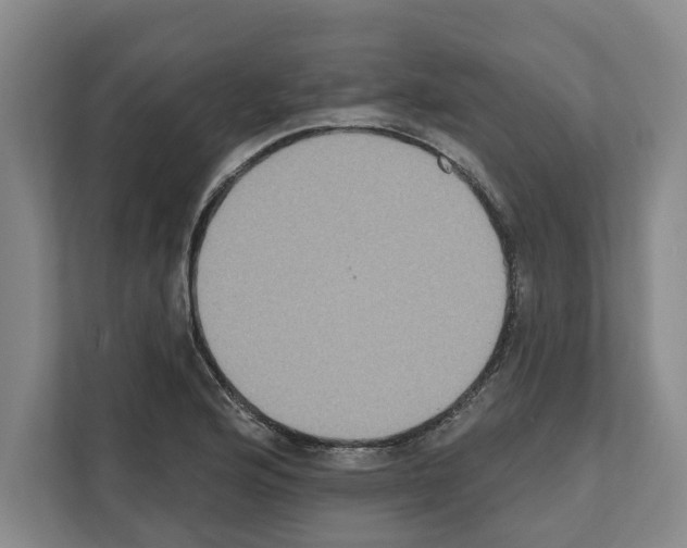 X0000111831176200909031507
