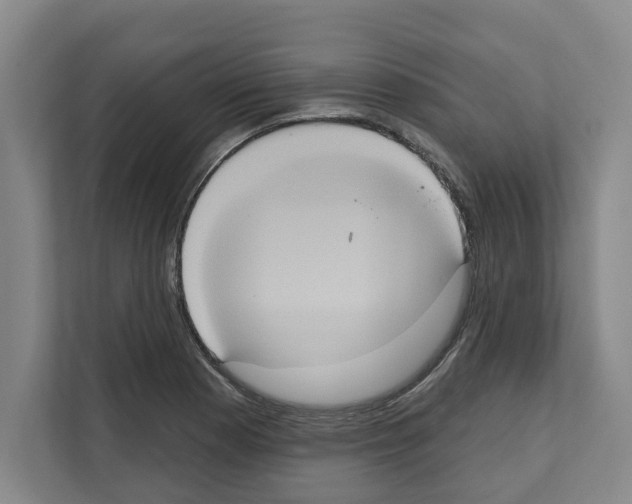 X0000111831177200909031507