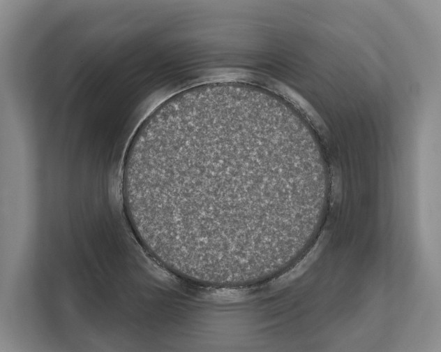 X0000111831178200909031507