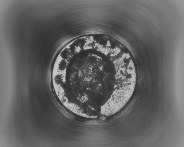 X0000111831179200909031507