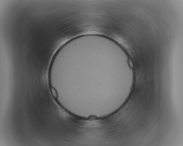 X0000111831181200909031507