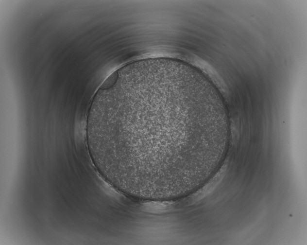 X0000111831185200909031507