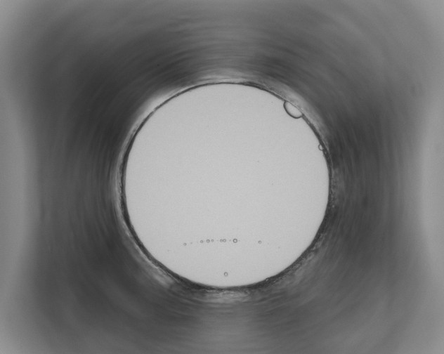 X0000111831187200909031507