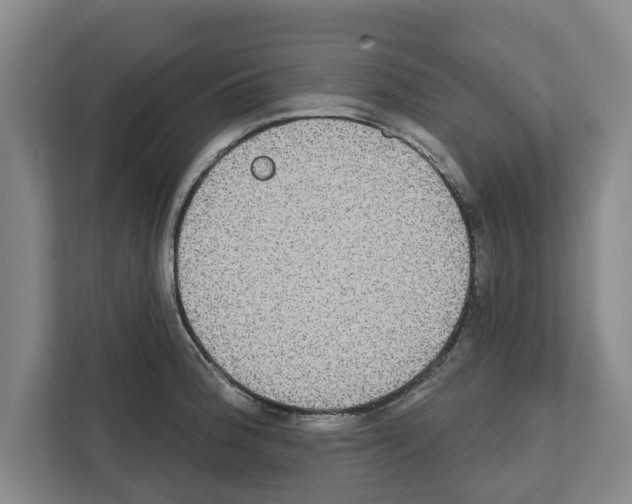 X0000111831188200909031507