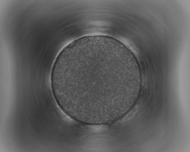 X0000111831189200909031507