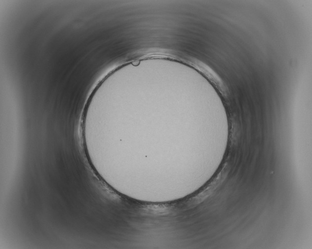 X0000111831190200909031507