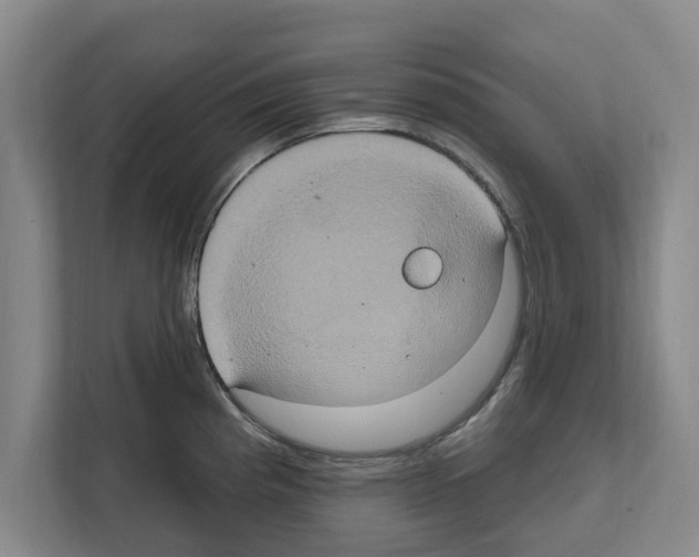 X0000111831193200909031507