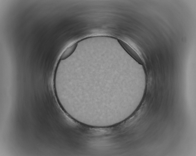 X0000111831197200909031507