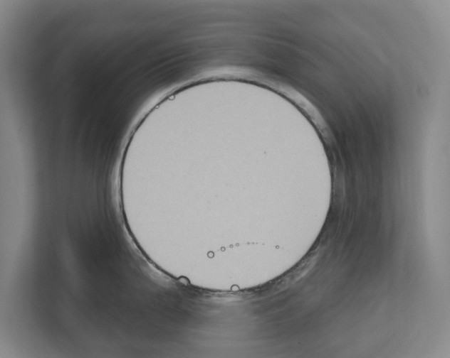 X0000111831199200909031507