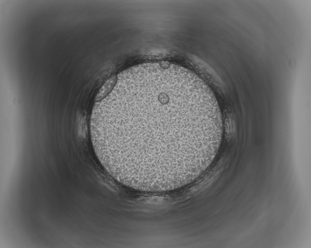 X0000111831204200909031506