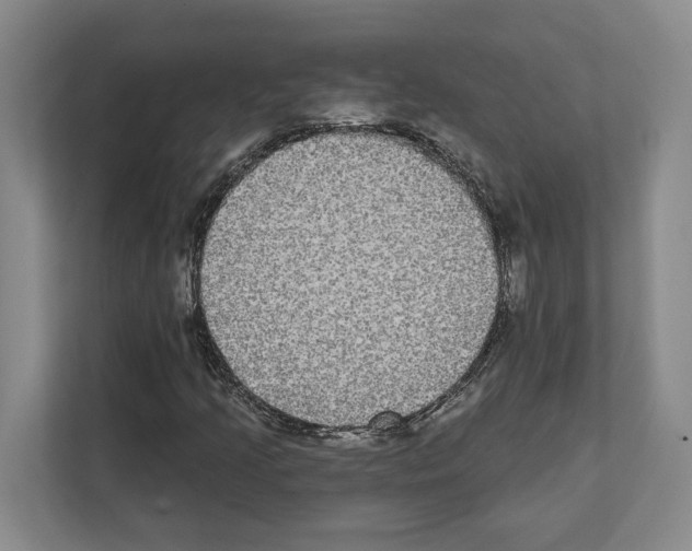 X0000111831205200909031506