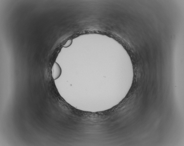 X0000111831207200909031506