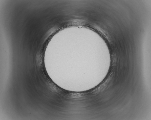X0000111831211200909031506